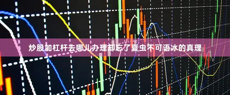 炒股加杠杆去哪儿办理却忘了夏虫不可语冰的真理