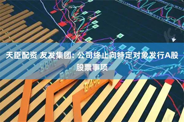 天臣配资 友发集团: 公司终止向特定对象发行A股股票事项