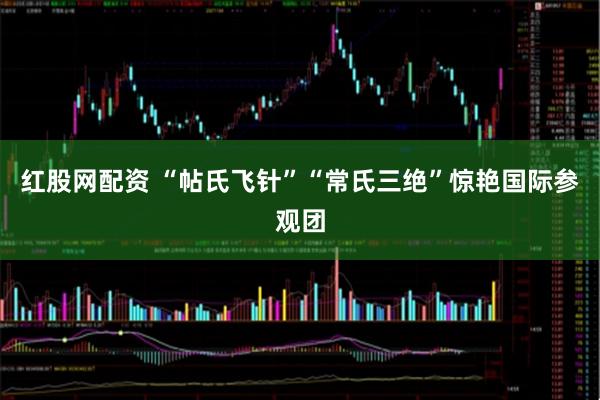 红股网配资 “帖氏飞针”“常氏三绝”惊艳国际参观团